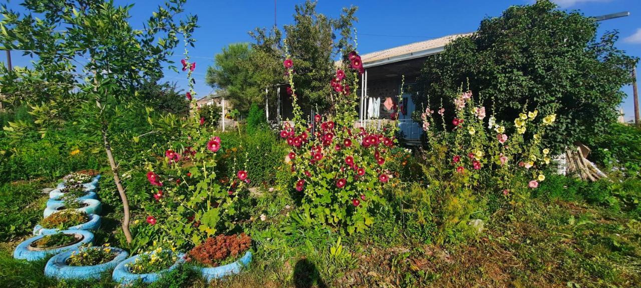 The Lichk Lodge Eksteriør billede